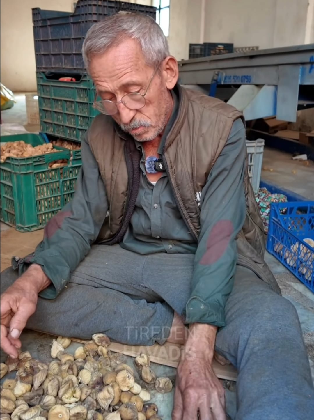 “İncirin Başkentinde Sessiz Bekleyiş: Üretici Dertli, Piyasa Durgun”