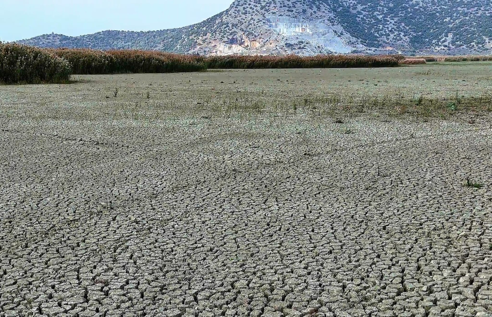 Küçük Menderes’in İncisi Belevi Gölü Kurudu: Bir Doğal Miras Daha Yok Oluyor
