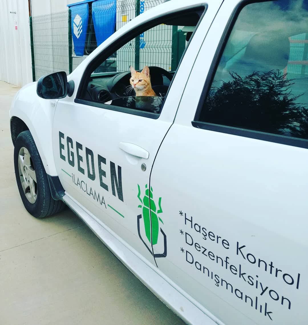 Egeden İlaçlama Firması Kamuoyuna Bilgilendirme Yaptı